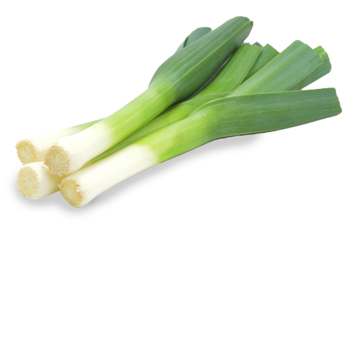 Fresh Leeks Isolatedon Dark Background.png