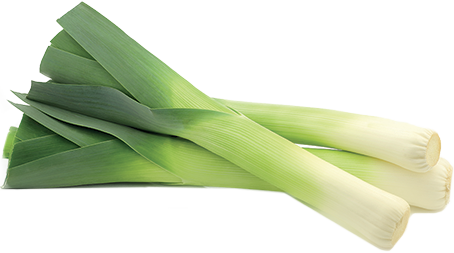 Fresh Leeks Isolatedon Transparent Background