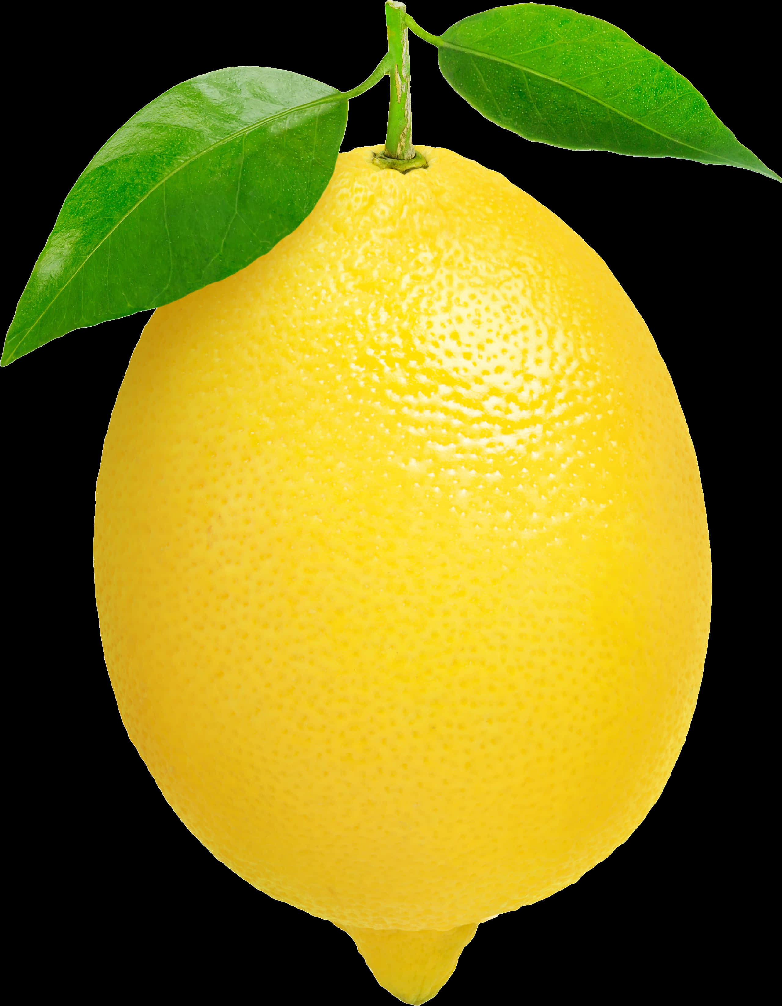 Fresh Lemonwith Leaves PNG with transparent background