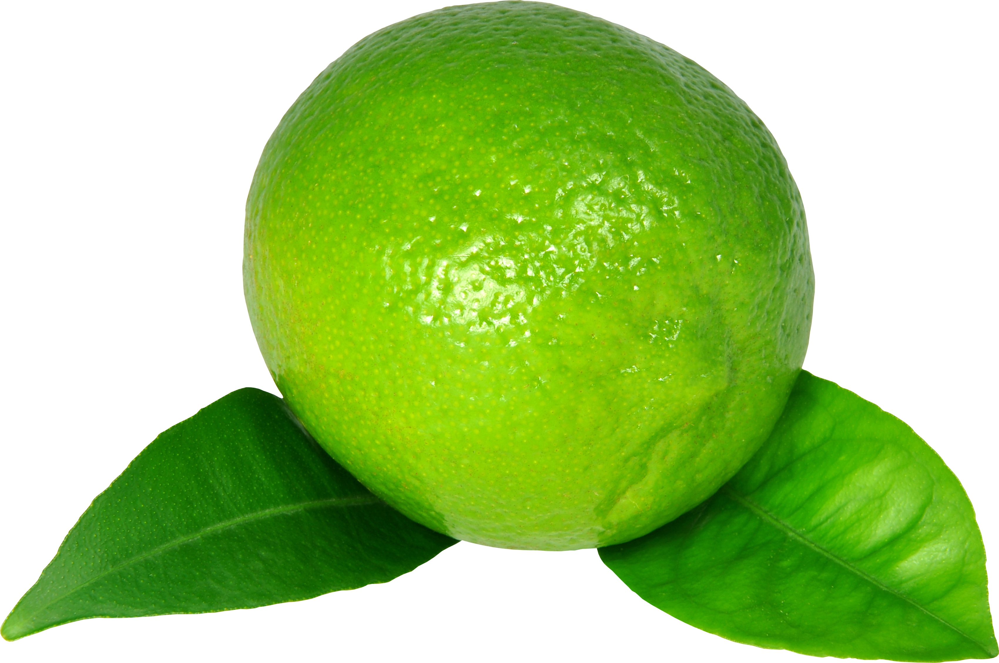 Lime Png Image - Green Lemon High Resolution, Transparent Png PNG with transparent background