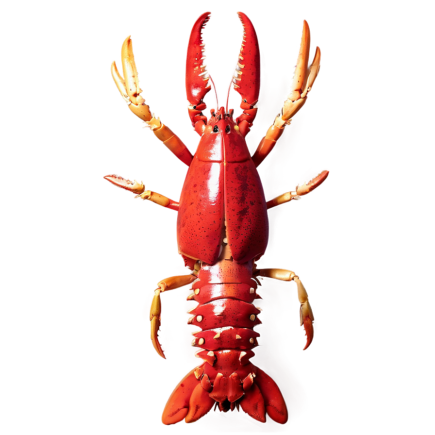 Fresh Lobster PNG irc99 PNG with transparent background