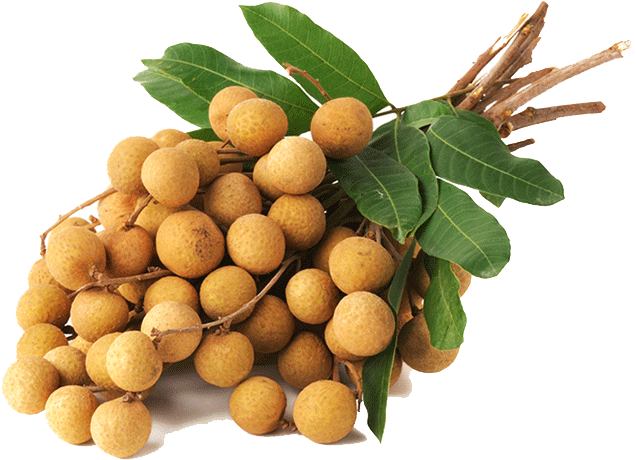 Fresh Longan Bunch