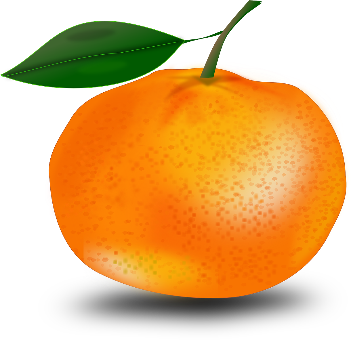 Fresh Mandarin Orange Illustration