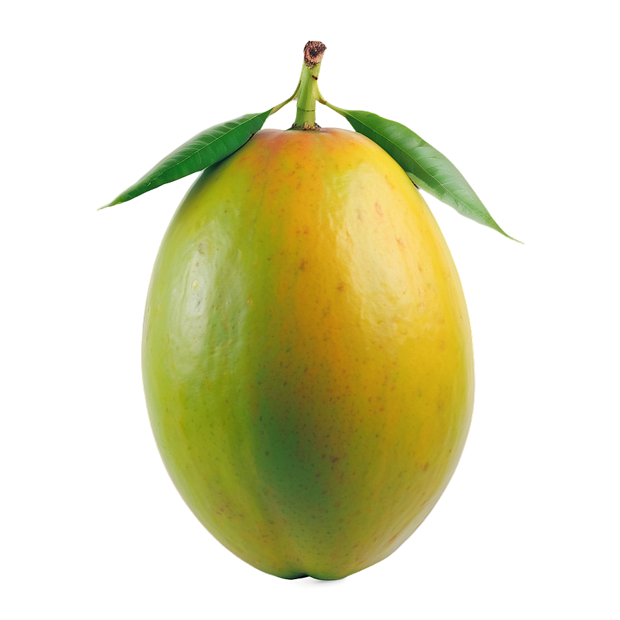 Fresh Mango PNG 05232024 PNG image with a transparent background, free high-resolution download