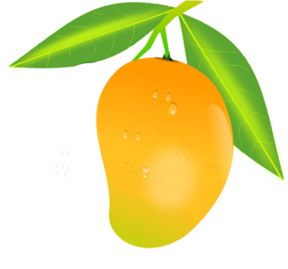 Fresh Mango With Dew Drops Illustration PNG with transparent background