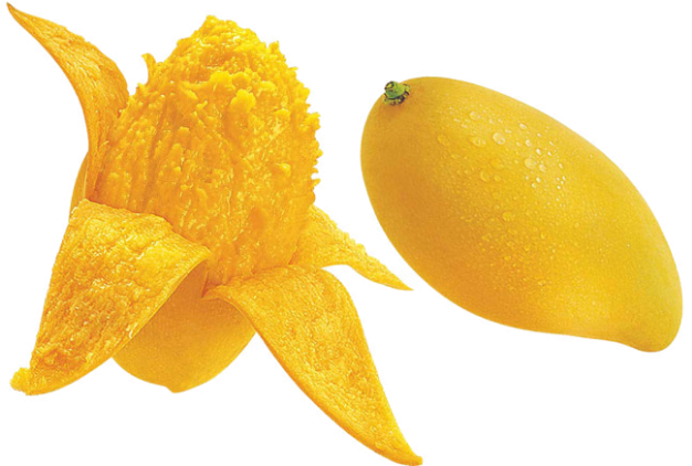 Fresh Mangoand Slicewith Water Drops.png PNG with transparent background
