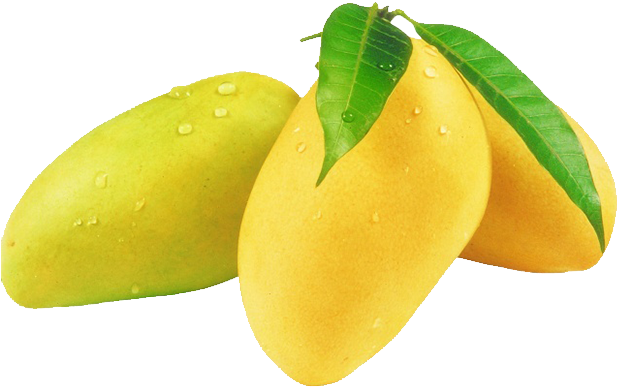Fresh Mangoes With Dew Drops PNG with transparent background