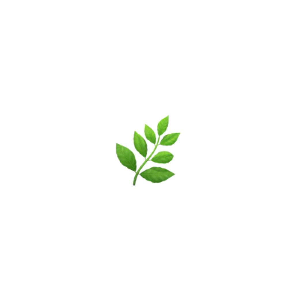 Fresh Mint Leaves Simple Background PNG with transparent background