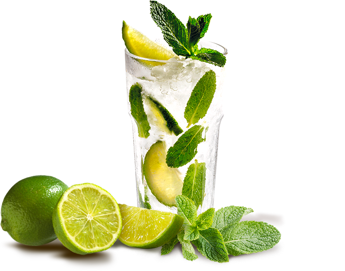 Fresh Mojito Cocktail Lime Mint