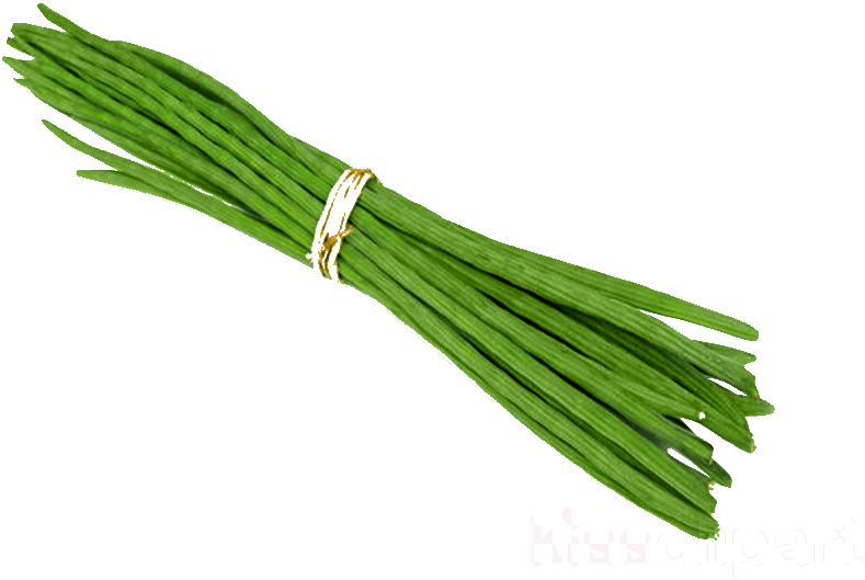 Image01 - Drumstick Vegetable Clipart, HD Png Download PNG with transparent background