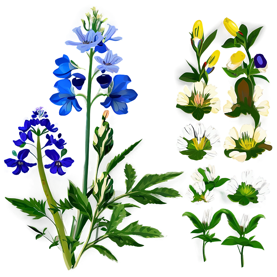 Fresh Morning Wildflowers PNG 35 PNG with transparent background