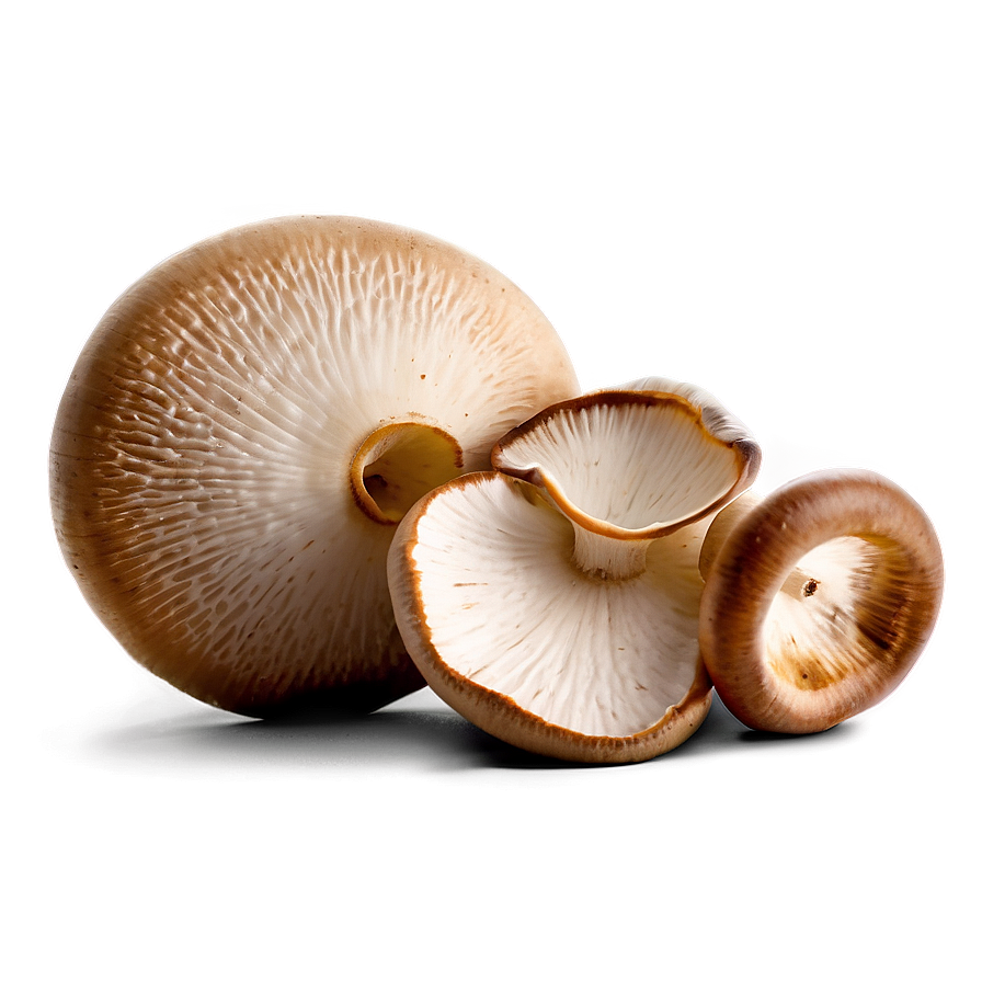 Fresh Mushrooms PNG  ine78 PNG with transparent background