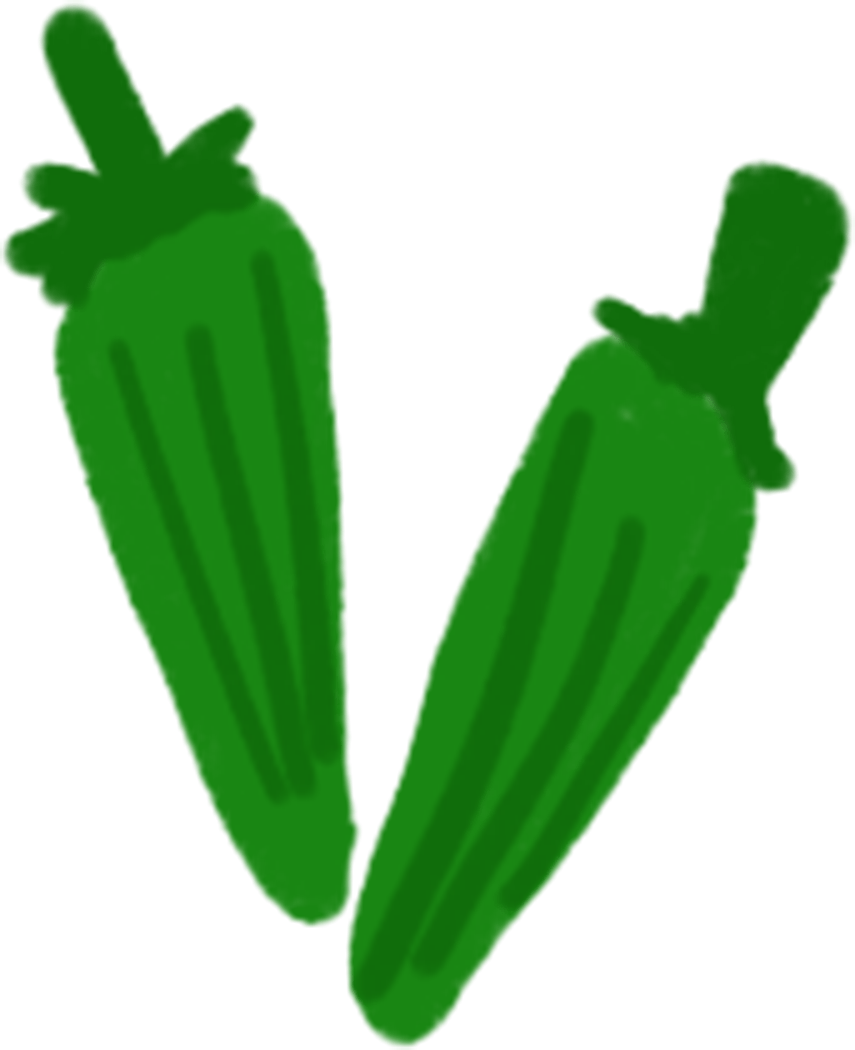 Fresh Okra Illustration