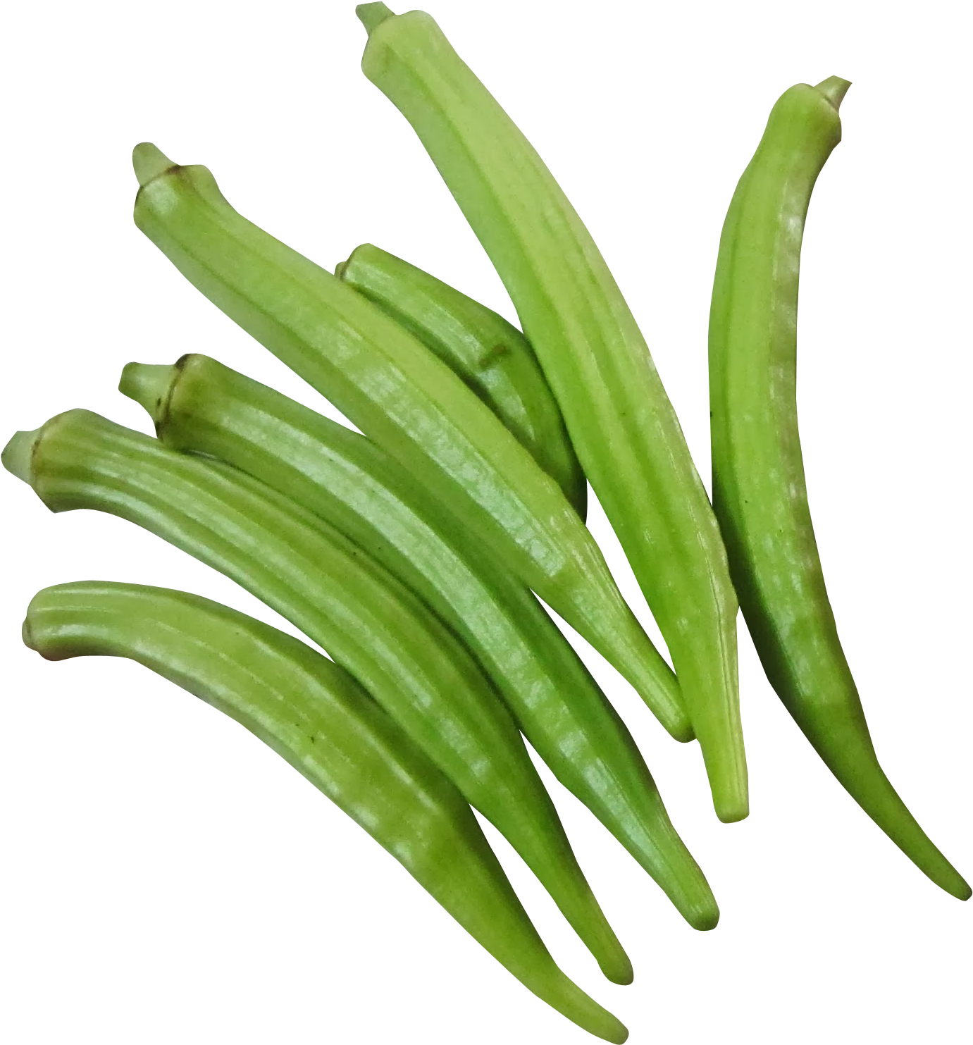 Fresh Okra Pods Isolated