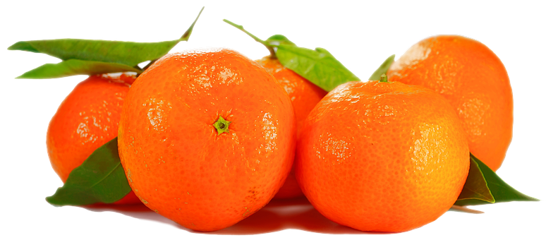 Fresh Orangeswith Leaveson Black Background