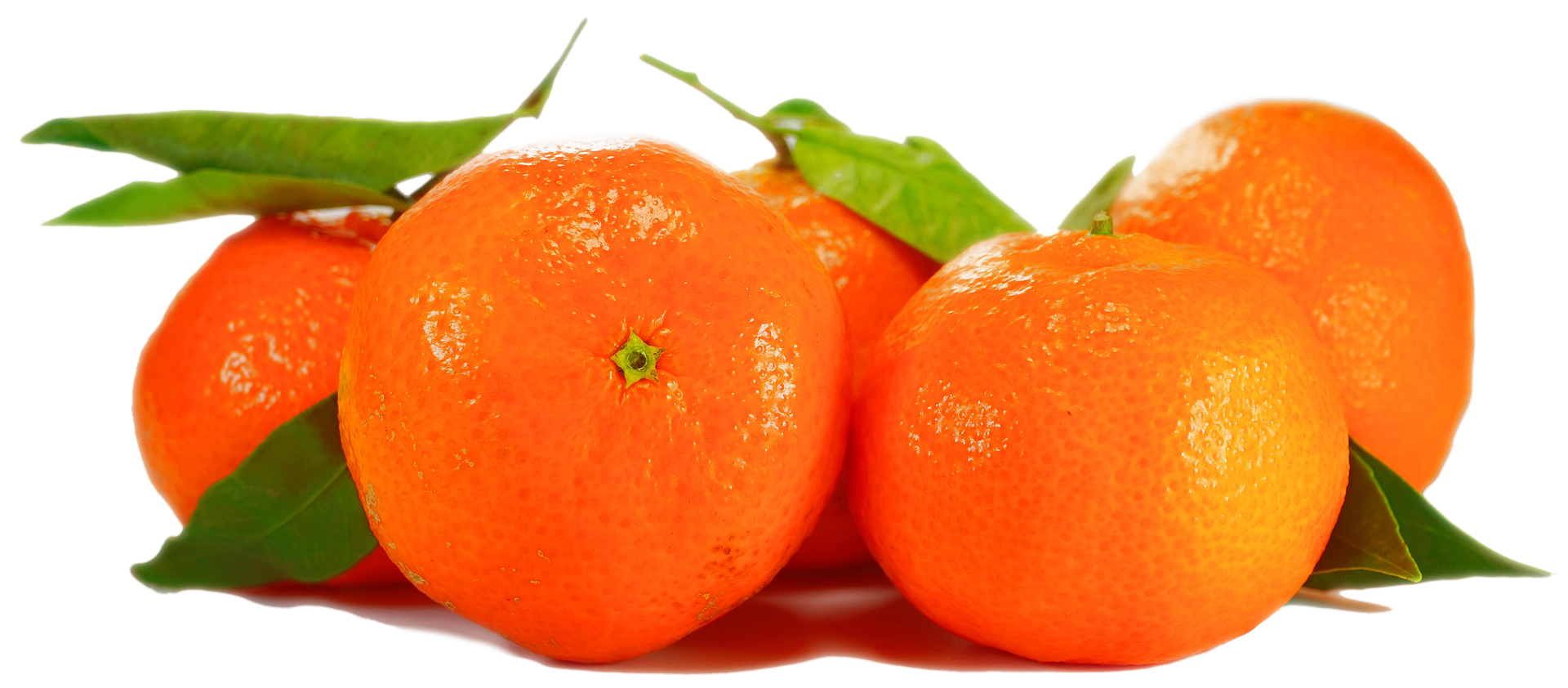 Fresh Orangeswith Leaveson Black Background