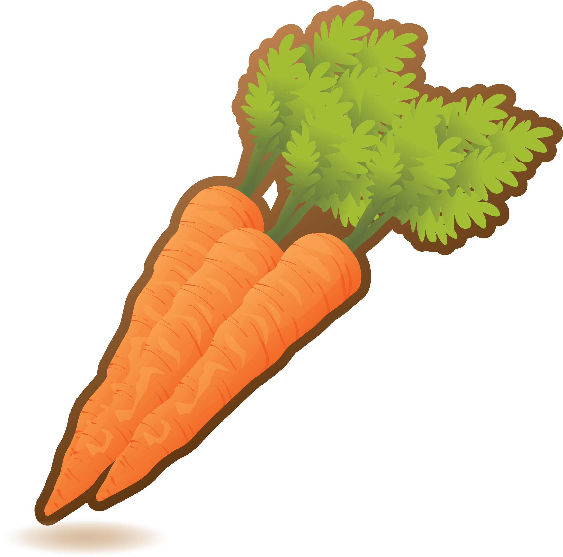Fresh Organic Carrots Illustration PNG with transparent background