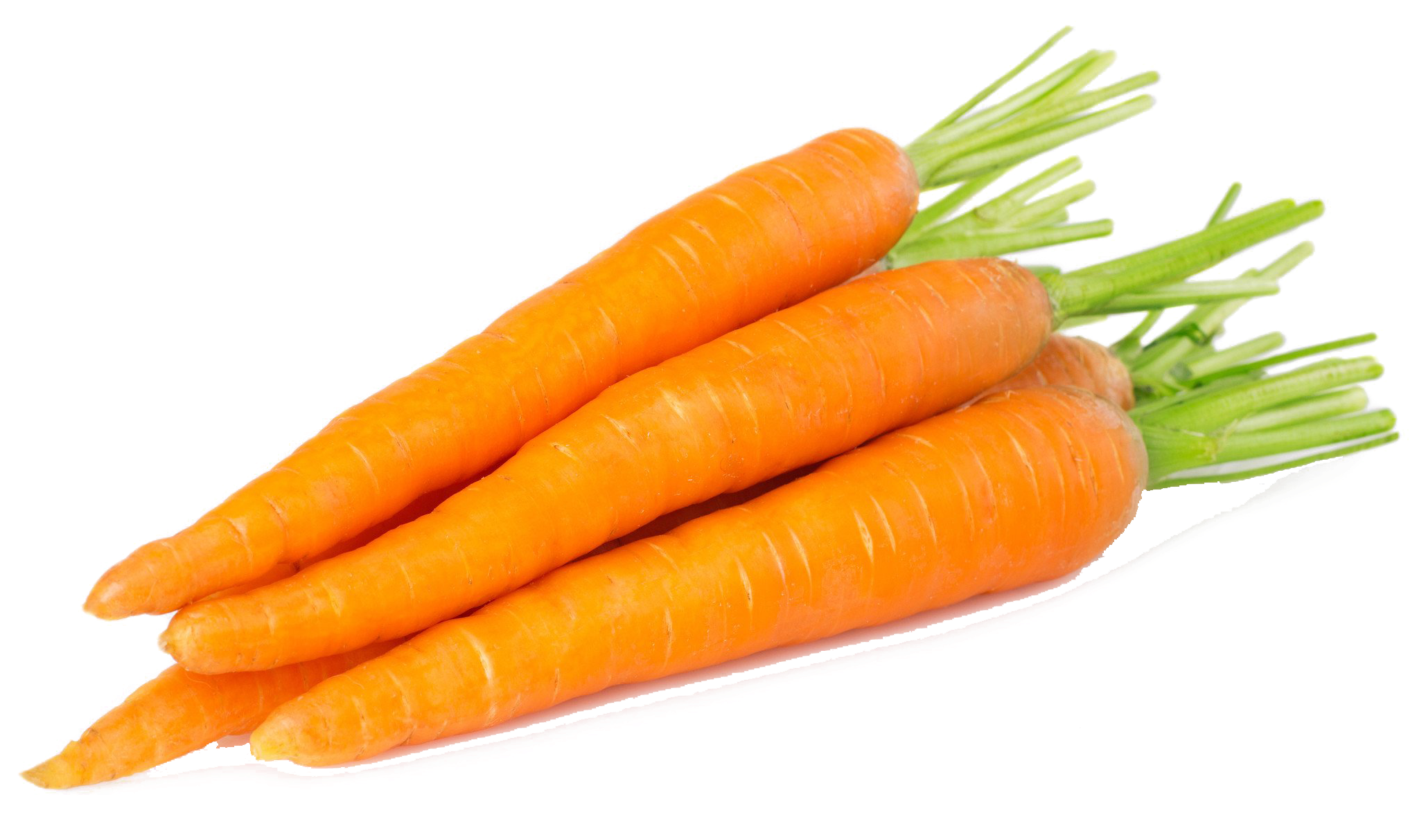 Fresh Organic Carrots Isolated PNG with transparent background