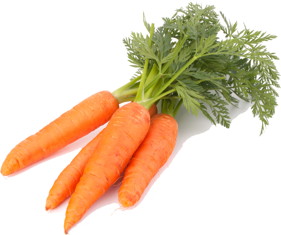 Fresh Organic Carrots Isolated PNG with transparent background