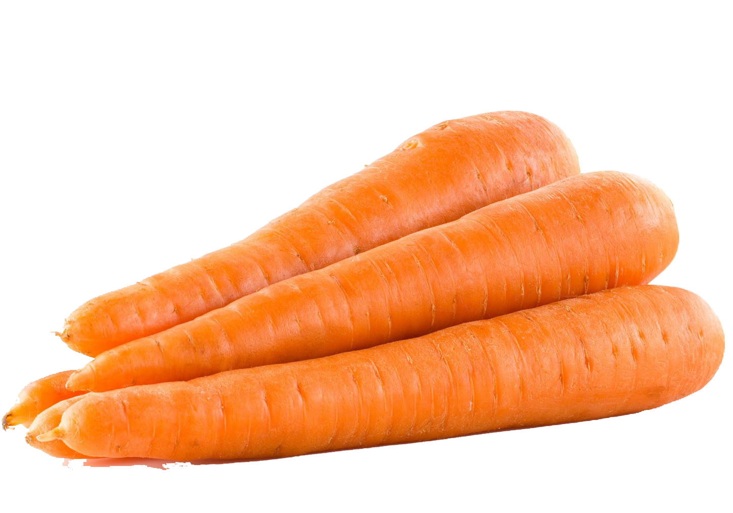 Fresh Organic Carrots Isolated PNG with transparent background