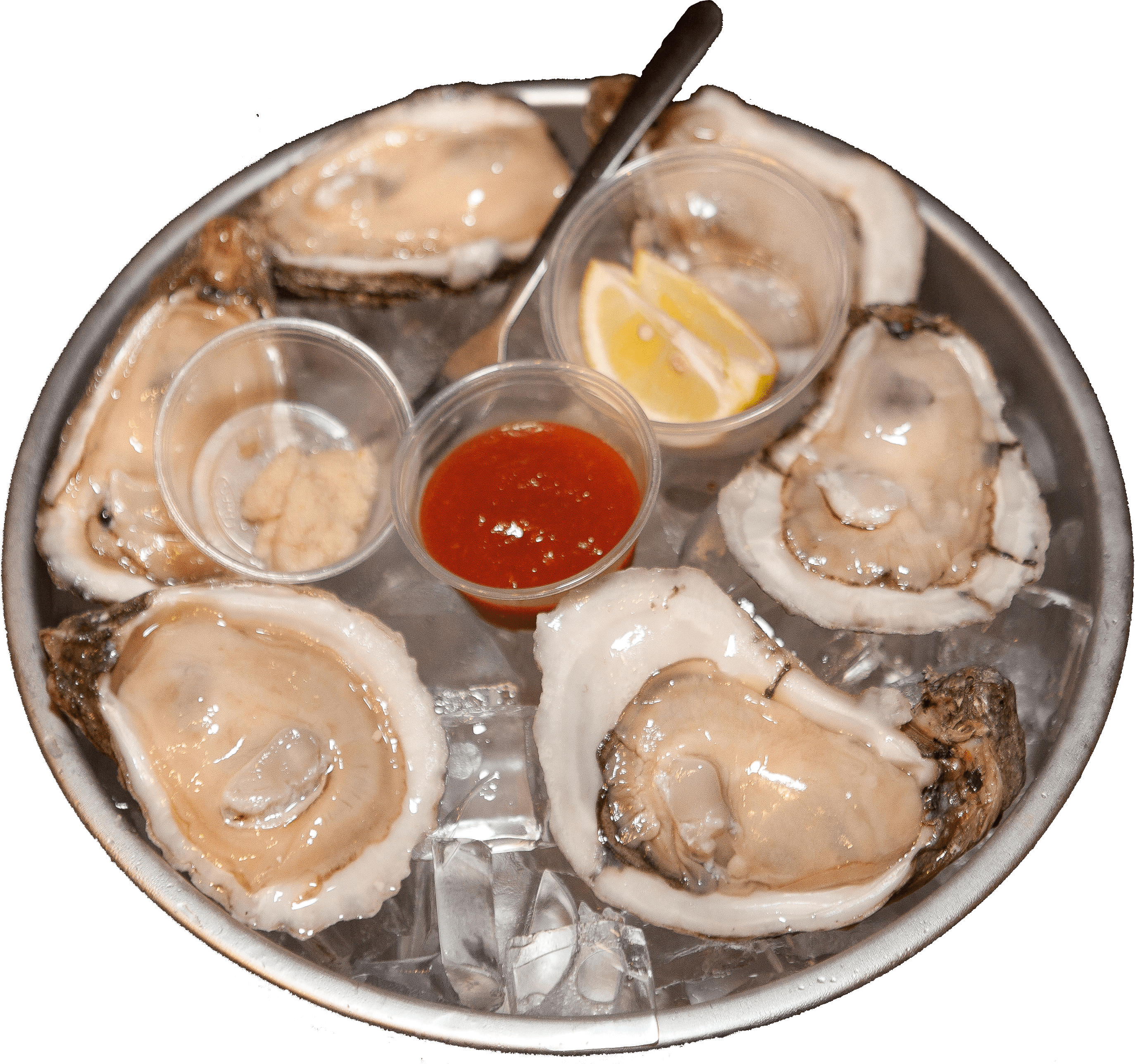 Clam - Oyster Seafood, HD Png Download PNG with transparent background
