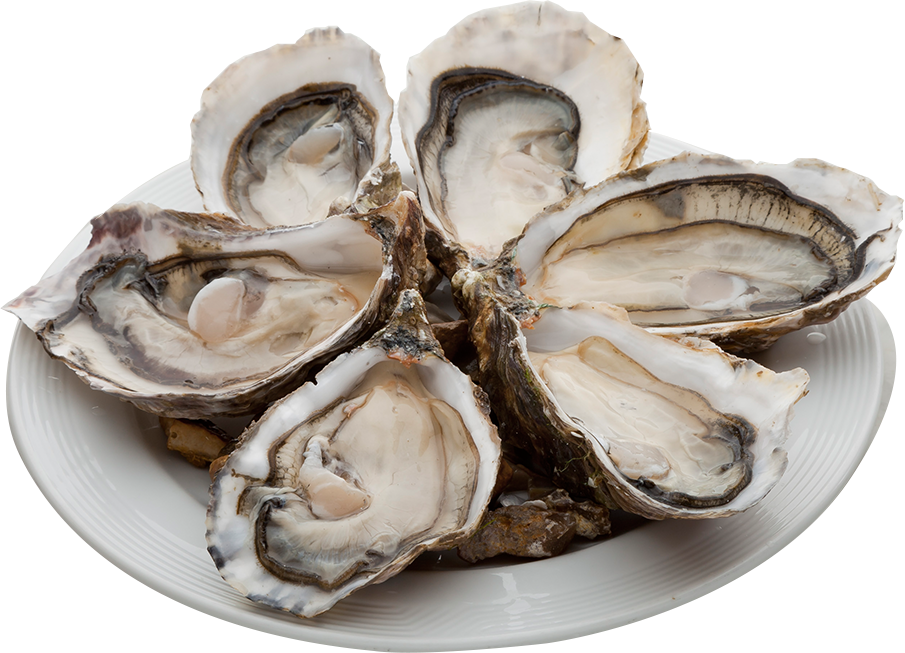 Oysters Png, Transparent Png PNG with transparent background