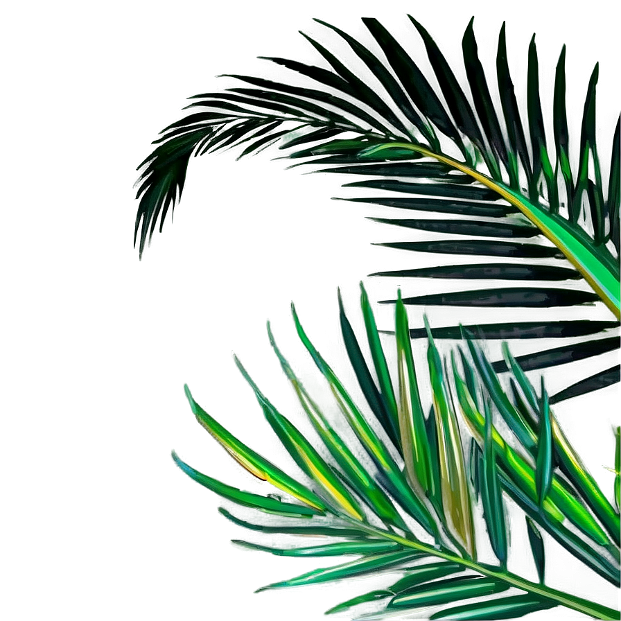 Fresh Palm Leaves Png Qoo