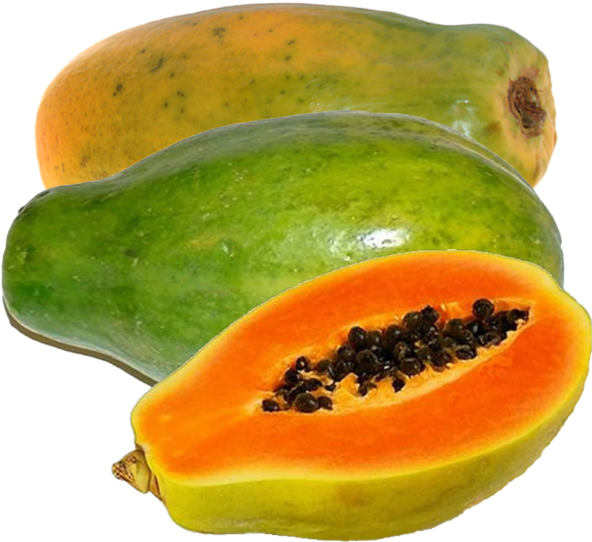 Fresh Papaya Fruit Variety