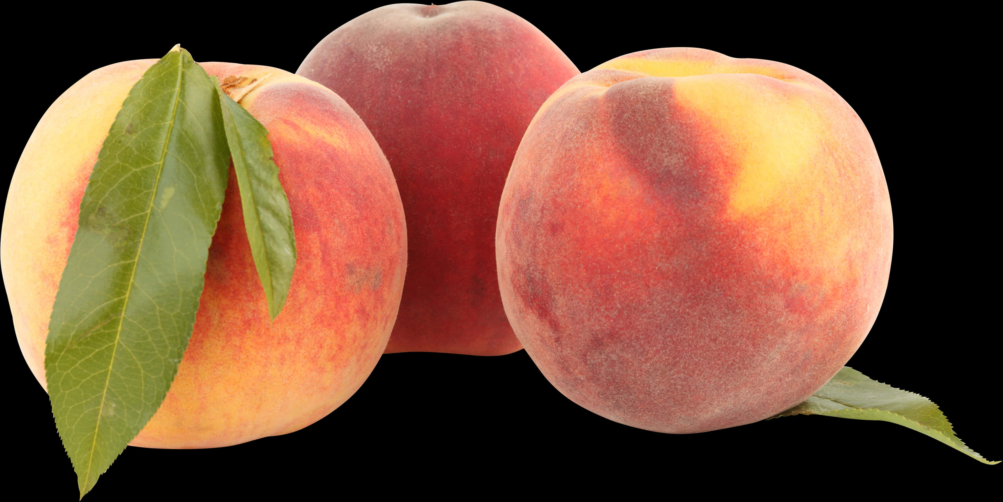 Fresh Peaches Black Background