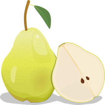 Fresh Pearand Slice Illustration