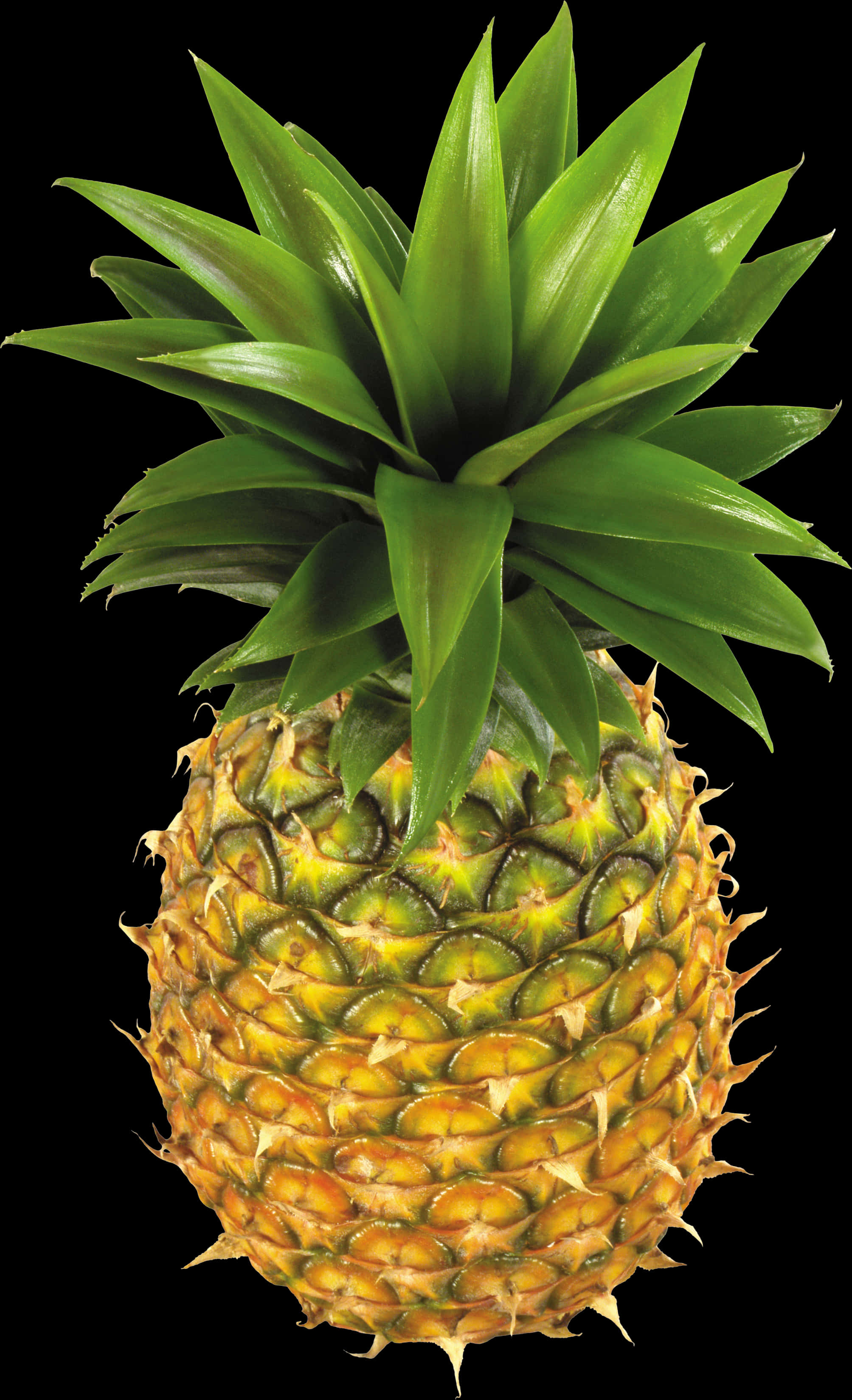 Fresh Pineapple Isolatedon Black PNG with transparent background