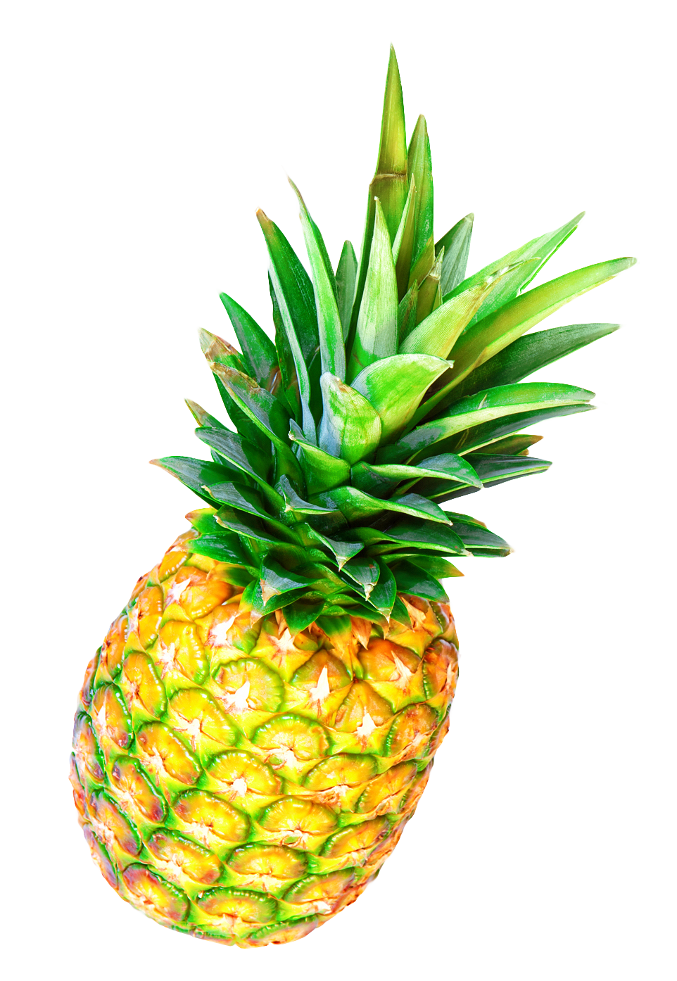 Fresh Pineapple Isolatedon Gray PNG with transparent background