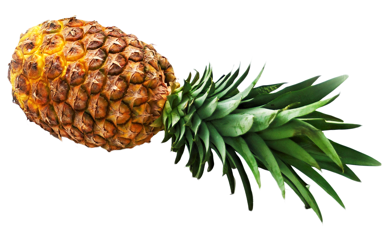 Fresh Pineapple Isolated.png PNG with transparent background