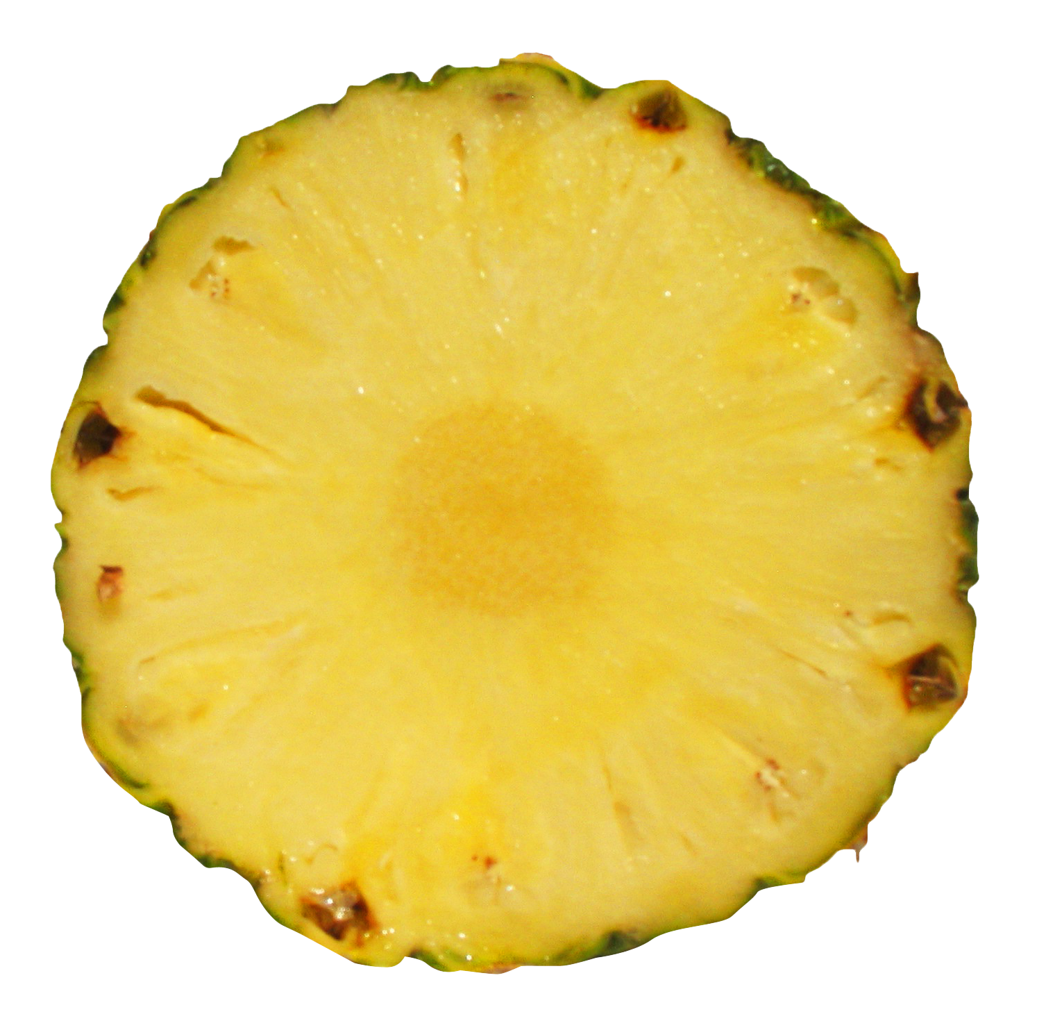 Fresh Pineapple Slice Transparent Background PNG with transparent background