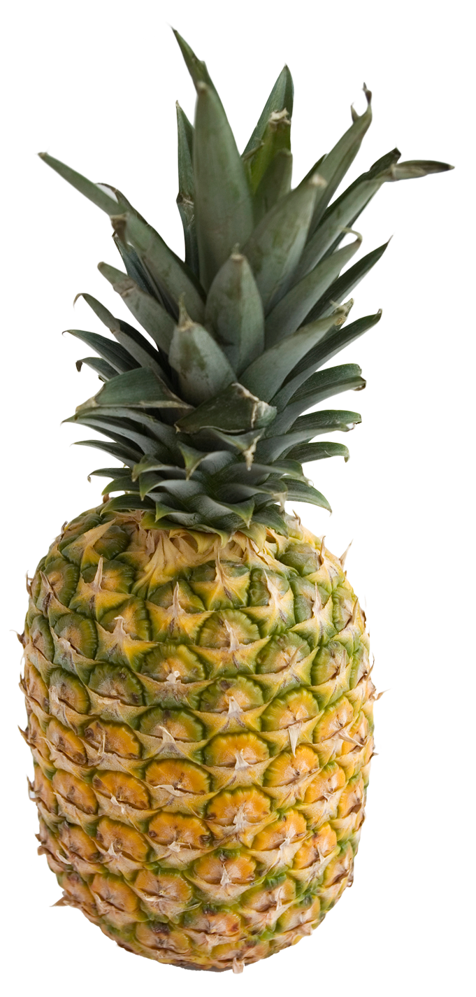 Fresh Pineapple Standing Isolated.png PNG with transparent background