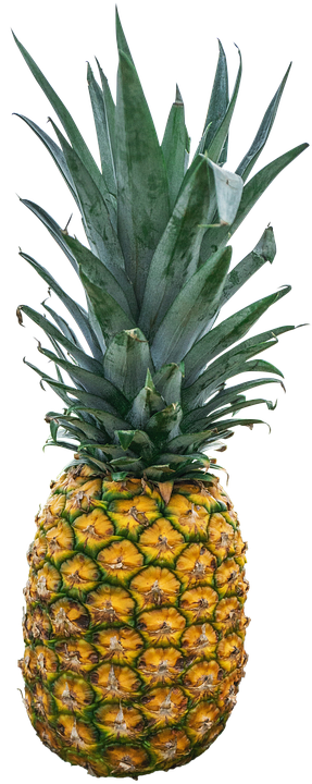 Fresh Pineapple Standing PNG with transparent background