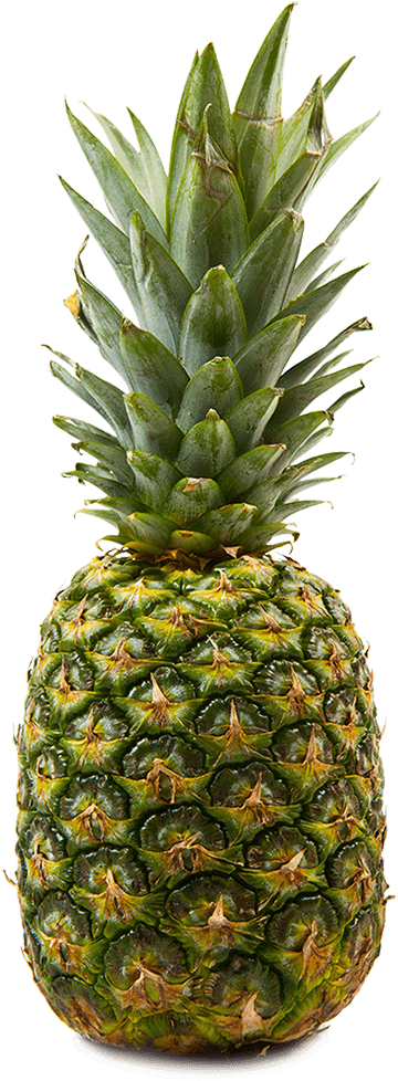 All Fruits, HD Png Download PNG with transparent background