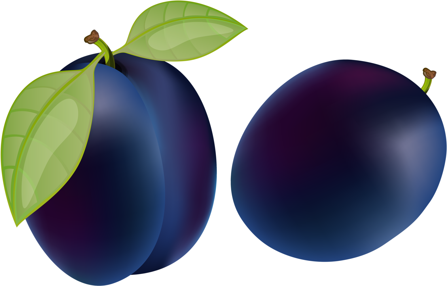 Fresh Plums Illustration