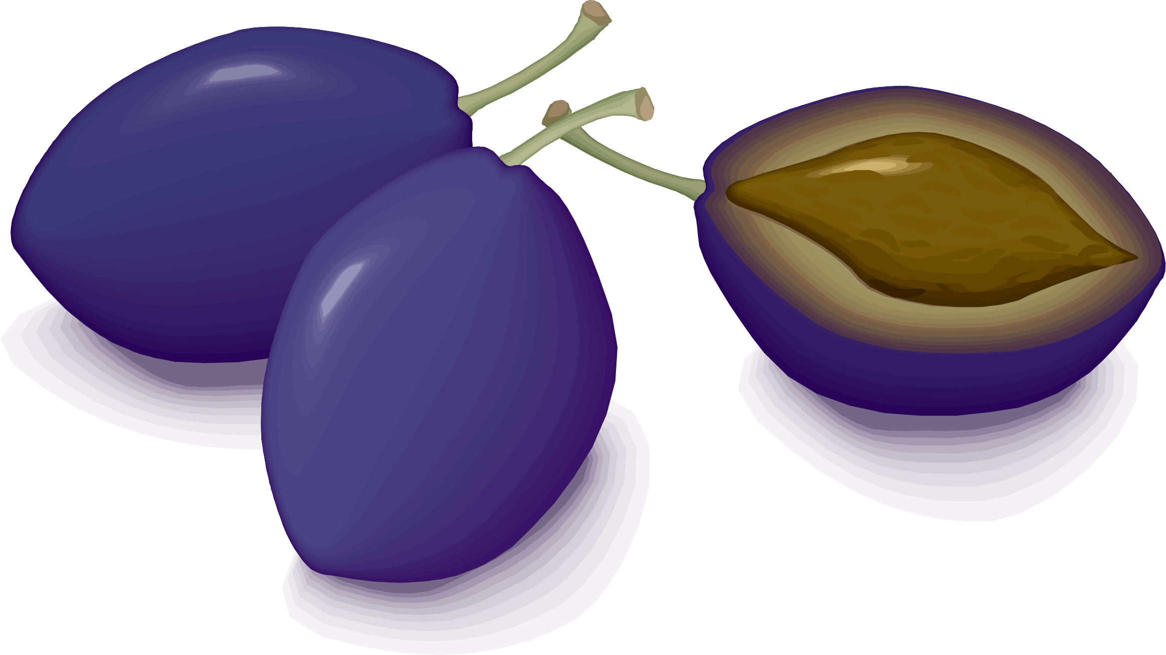 Fresh Plumsand Half Cut Plum Illustration