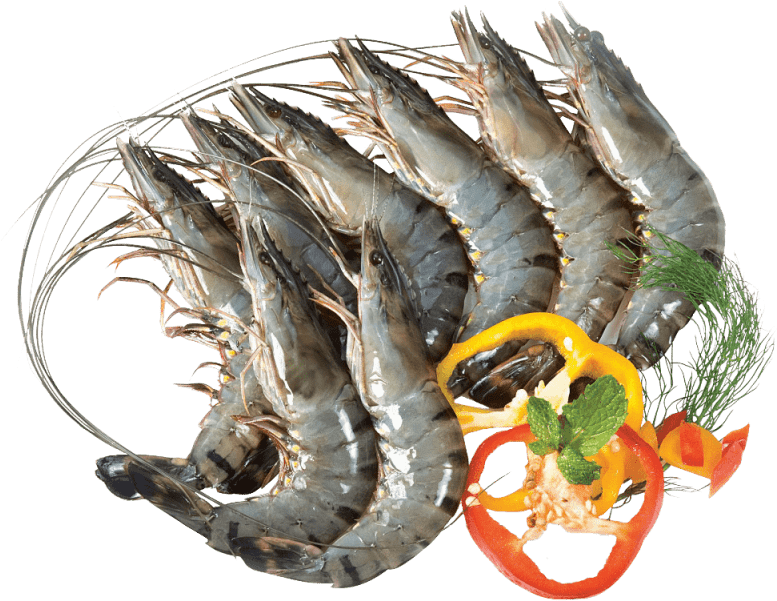 Fresh Raw Shrimp With Herbsand Spices