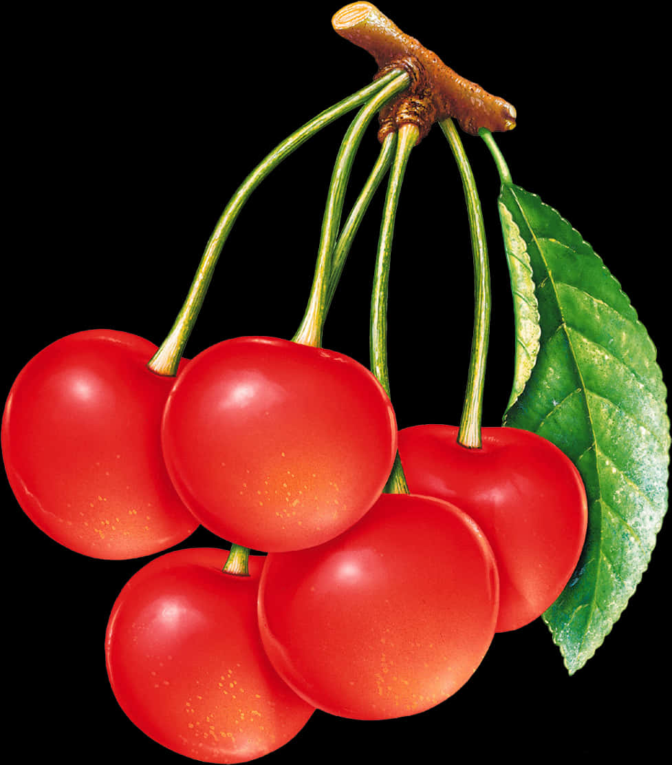 Cherries Png Image - Bunch Of Cherries Clipart, Transparent Png PNG with transparent background