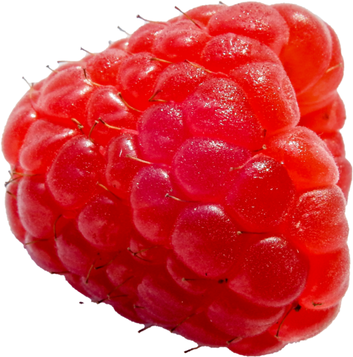 Fresh Red Raspberry Closeup.png