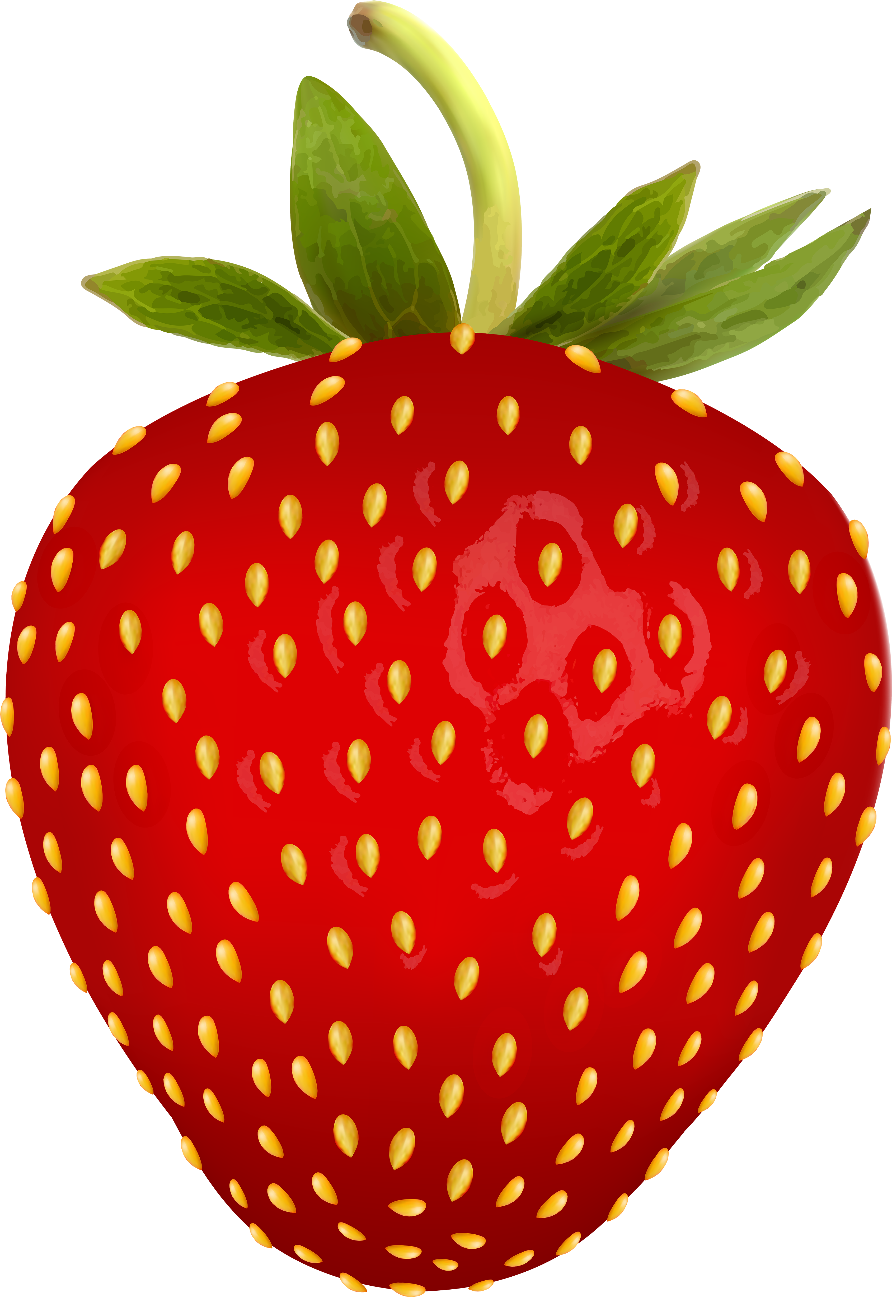 Fresh Red Strawberry Illustration.png