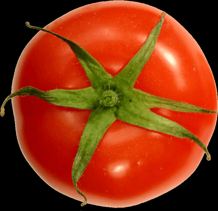 Fresh Red Tomato Top View