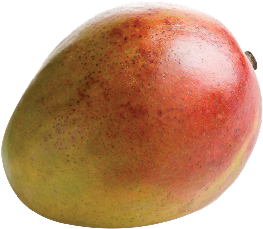 Fresh Ripe Mango Fruit PNG with transparent background