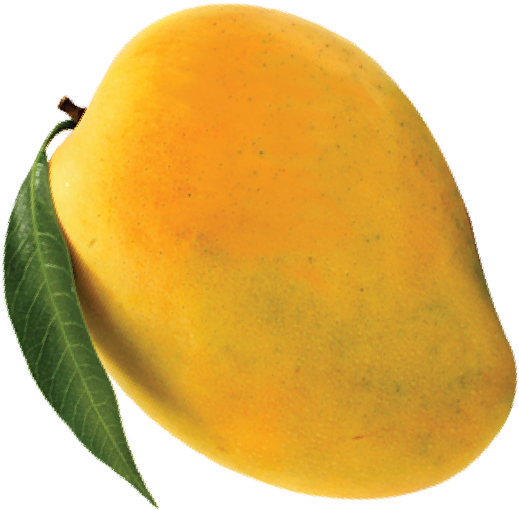 Fresh Ripe Mango With Leaf PNG with transparent background