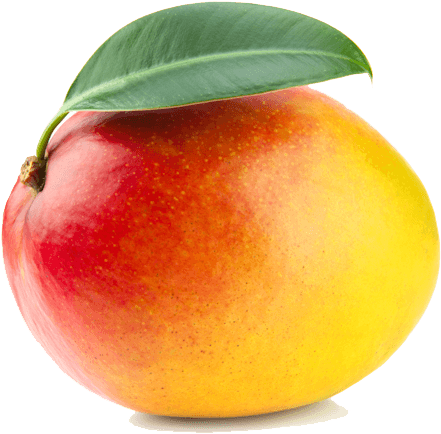 Fresh Ripe Mango With Leaf PNG with transparent background