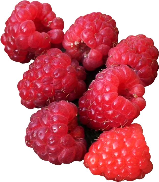 Fresh Ripe Raspberries Cluster