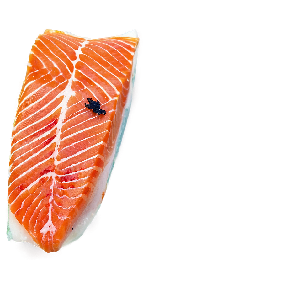 Fresh Salmon Png Xxp