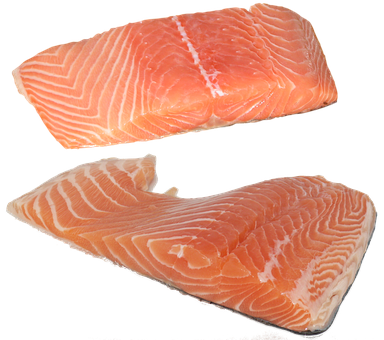 Fresh Salmon Steaks Isolated